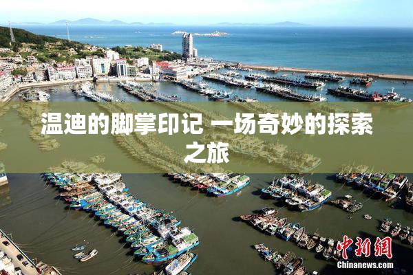 温迪的脚掌印记 一场奇妙的探索之旅