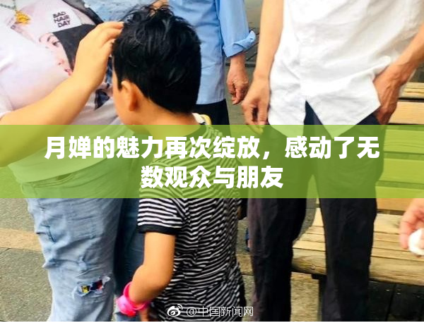 月婵的魅力再次绽放，感动了无数观众与朋友