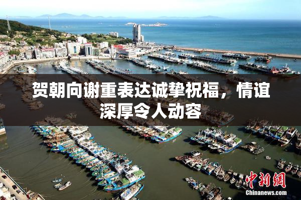 贺朝向谢重表达诚挚祝福，情谊深厚令人动容