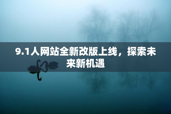 9.1人网站全新改版上线，探索未来新机遇