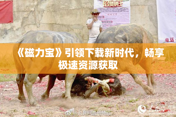 《磁力宝》引领下载新时代，畅享极速资源获取