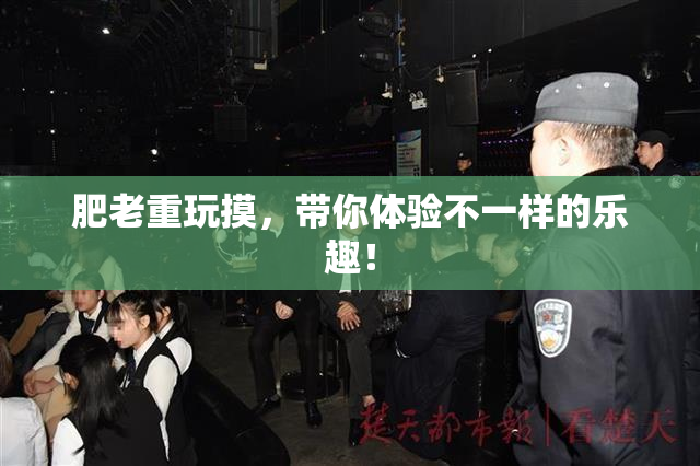 肥老重玩摸，带你体验不一样的乐趣！