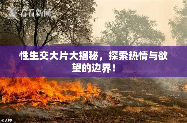 性生交大片大揭秘，探索热情与欲望的边界！