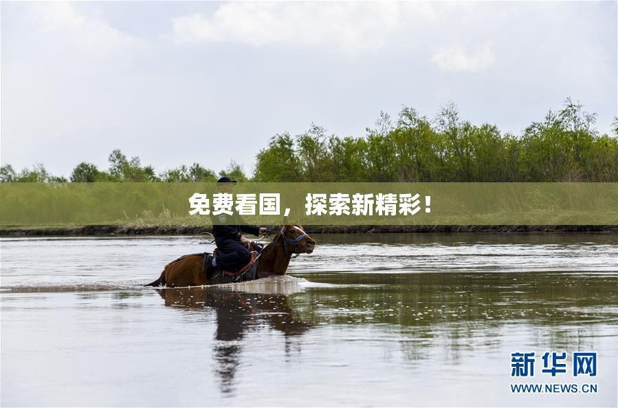 免费看国，探索新精彩！
