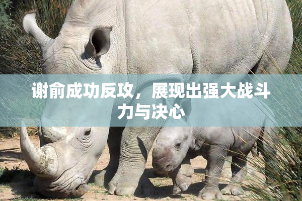 谢俞成功反攻，展现出强大战斗力与决心
