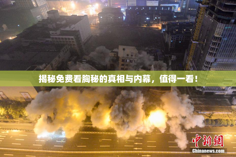 揭秘免费看胸秘的真相与内幕，值得一看！