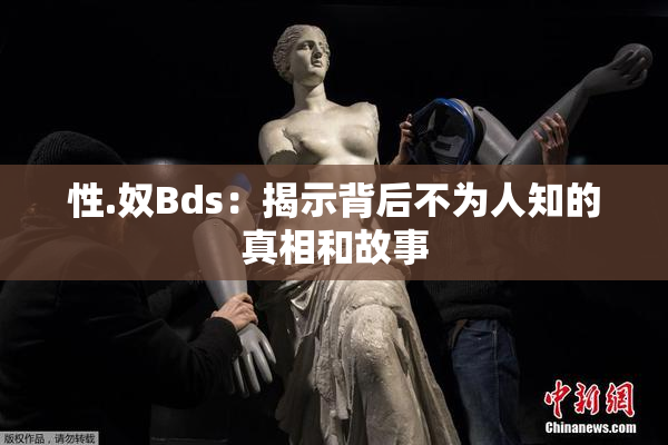 性.奴Bds：揭示背后不为人知的真相和故事