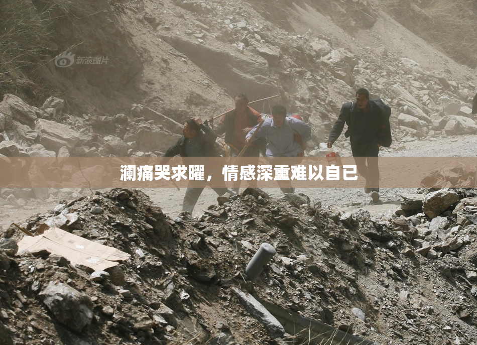 澜痛哭求曜，情感深重难以自已