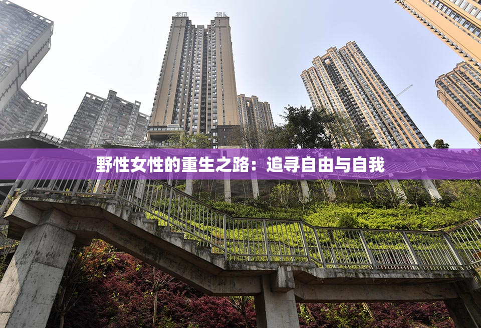 野性女性的重生之路：追寻自由与自我