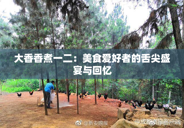 大香香煮一二：美食爱好者的舌尖盛宴与回忆