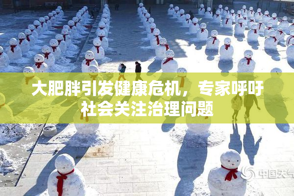 大肥胖引发健康危机，专家呼吁社会关注治理问题