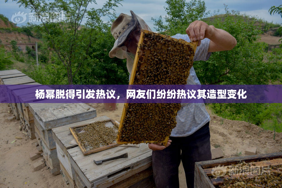 杨幂脱得引发热议，网友们纷纷热议其造型变化