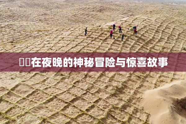 妺妺在夜晚的神秘冒险与惊喜故事