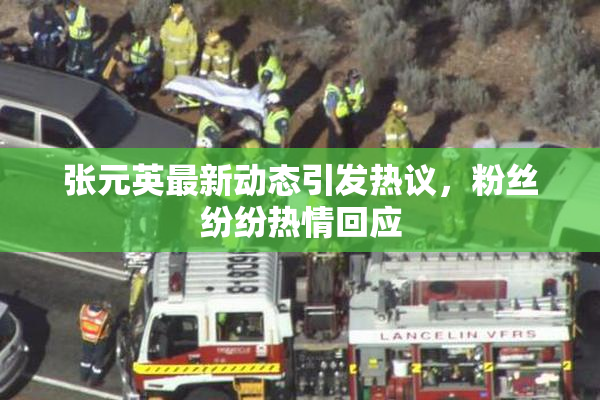 张元英最新动态引发热议，粉丝纷纷热情回应