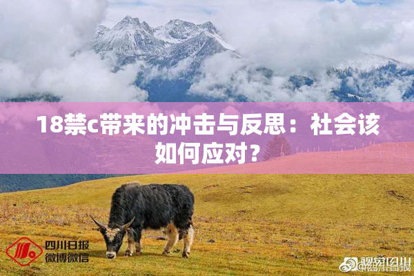 18禁c带来的冲击与反思：社会该如何应对？