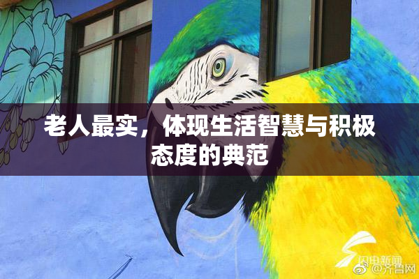老人最实，体现生活智慧与积极态度的典范