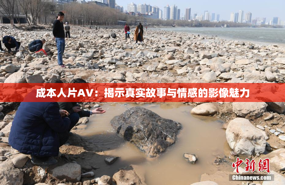 成本人片AV：揭示真实故事与情感的影像魅力