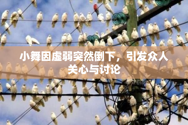 小舞因虚弱突然倒下，引发众人关心与讨论
