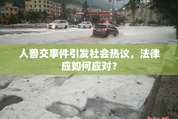 人兽交事件引发社会热议，法律应如何应对？