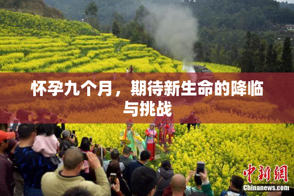 怀孕九个月，期待新生命的降临与挑战