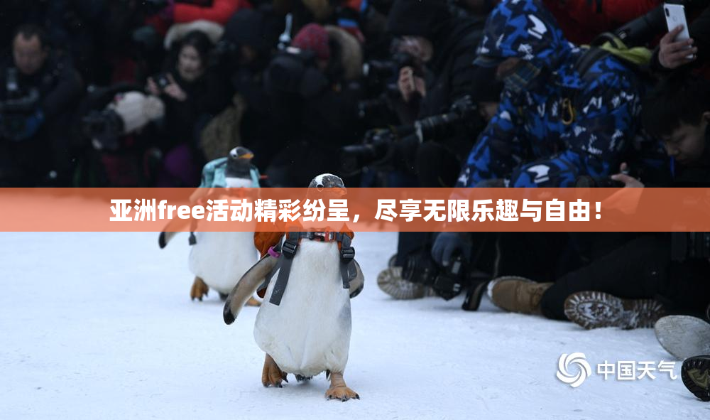 亚洲free活动精彩纷呈，尽享无限乐趣与自由！