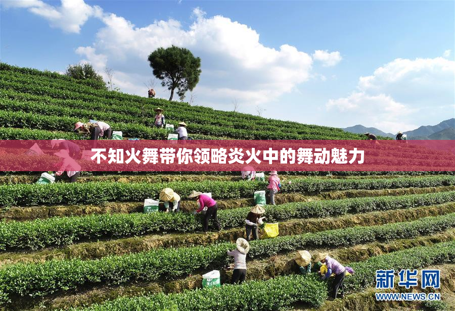 不知火舞带你领略炎火中的舞动魅力