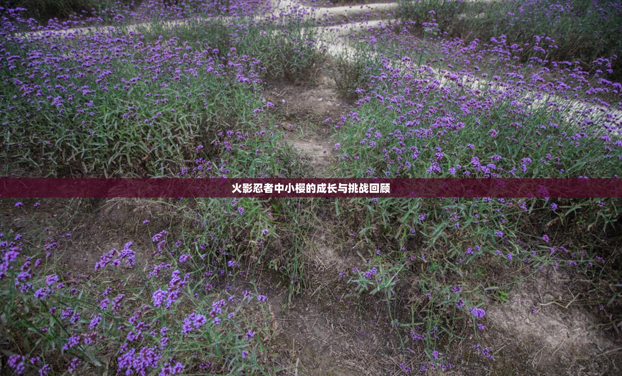 火影忍者中小樱的成长与挑战回顾