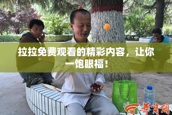 拉拉免费观看的精彩内容，让你一饱眼福！