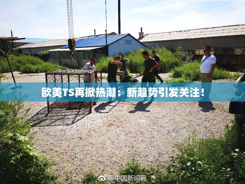 欧美TS再掀热潮：新趋势引发关注！