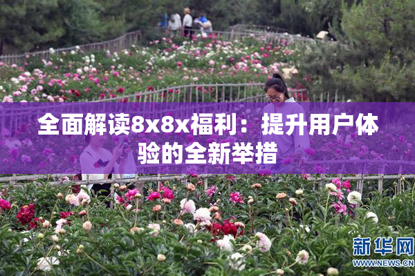 全面解读8x8x福利：提升用户体验的全新举措