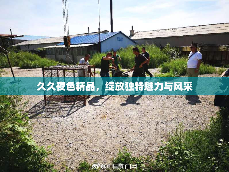 久久夜色精品，绽放独特魅力与风采