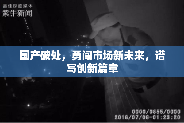 国产破处，勇闯市场新未来，谱写创新篇章
