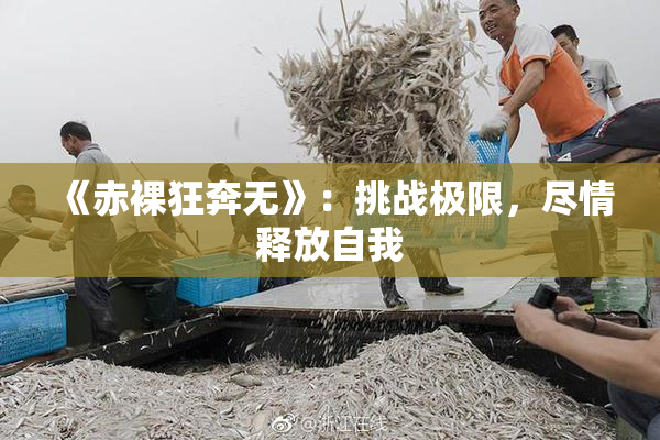 《赤裸狂奔无》：挑战极限，尽情释放自我
