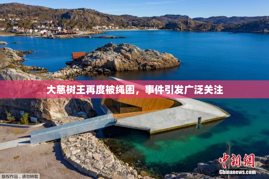 大慈树王再度被绳困，事件引发广泛关注