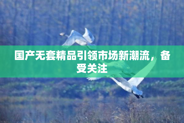 国产无套精品引领市场新潮流，备受关注