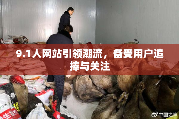 9.1人网站引领潮流，备受用户追捧与关注