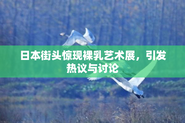 日本街头惊现裸乳艺术展，引发热议与讨论