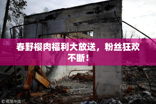 春野樱肉福利大放送，粉丝狂欢不断！