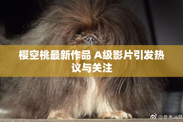 樱空桃最新作品 A级影片引发热议与关注