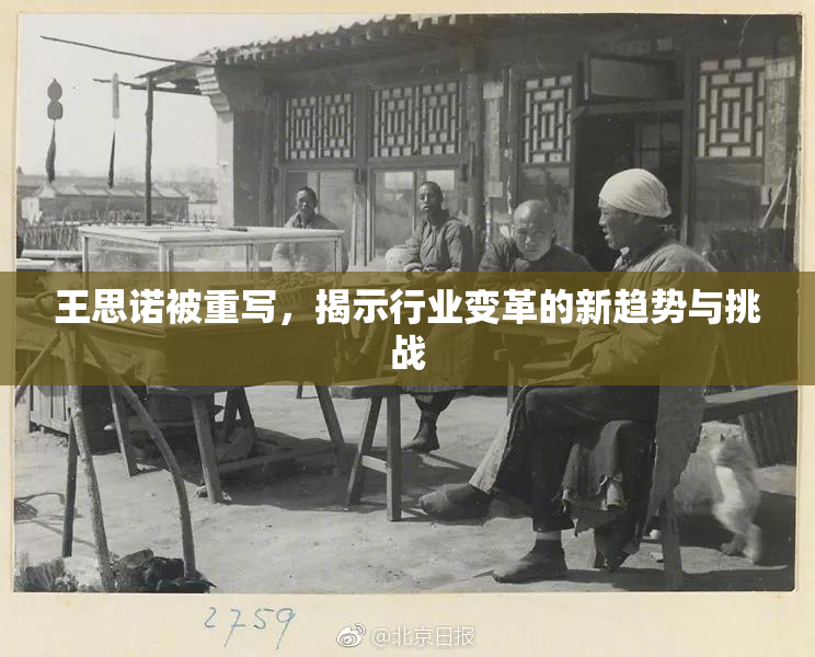 王思诺被重写，揭示行业变革的新趋势与挑战