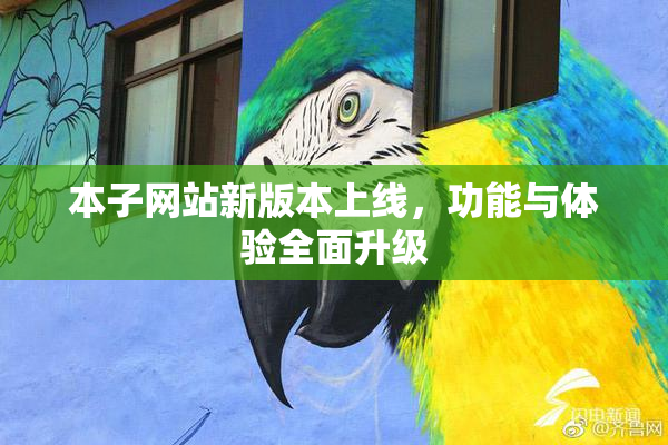 本子网站新版本上线，功能与体验全面升级