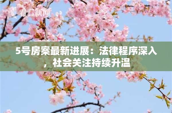 5号房案最新进展：法律程序深入，社会关注持续升温