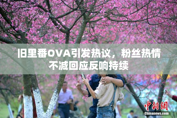 旧里番OVA引发热议，粉丝热情不减回应反响持续