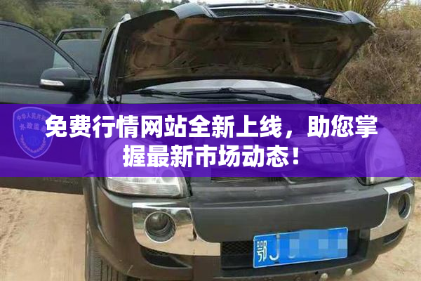 免费行情网站全新上线，助您掌握最新市场动态！