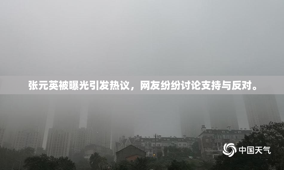 张元英被曝光引发热议，网友纷纷讨论支持与反对。
