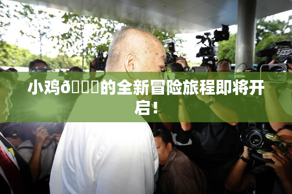 小鸡🐔的全新冒险旅程即将开启！