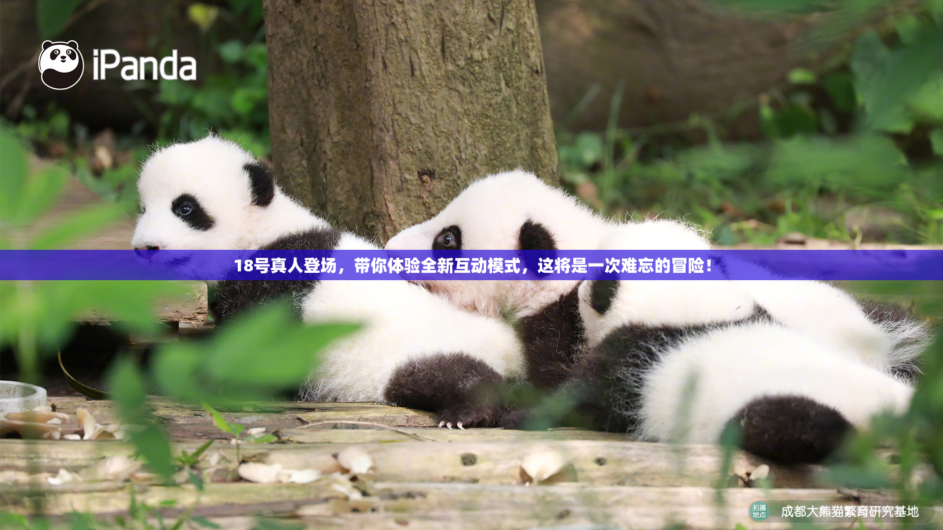 18号真人登场，带你体验全新互动模式，这将是一次难忘的冒险！