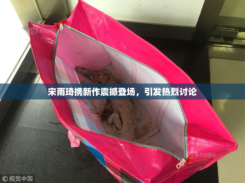 宋雨琦携新作震撼登场，引发热烈讨论