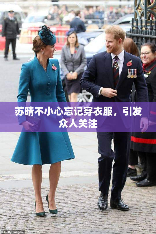 苏晴不小心忘记穿衣服，引发众人关注