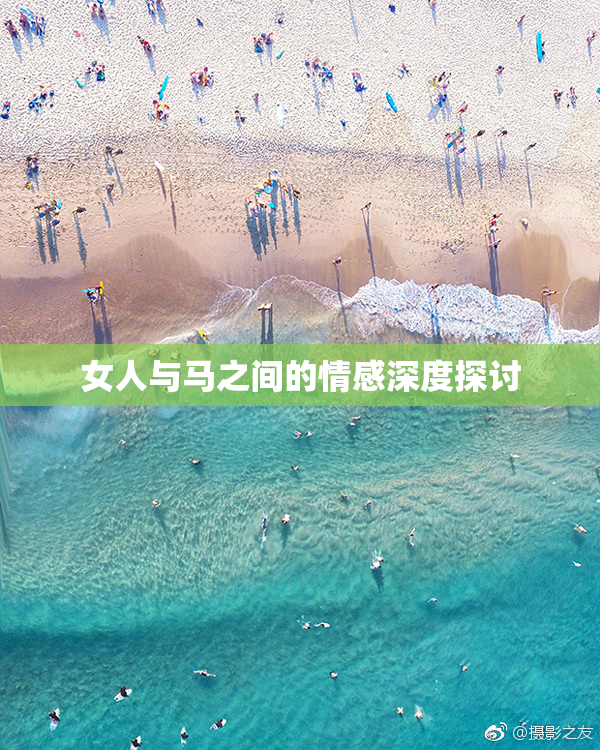 女人与马之间的情感深度探讨